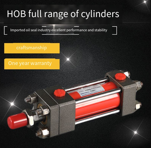 HOB40/50/63/80/100/125/150 - FA - LA pesante bidirezionale tirante idraulico tipo cilindro stampo - Product Image 3