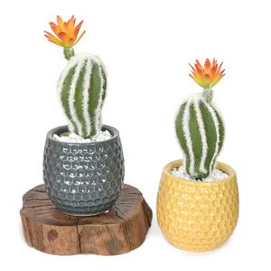 Nouveau Style Mini Faux Ball Cactus <span class=keywords><strong>Plante</strong></span> Succulente Artificielle pour la Décoration de Table - Product Image 6