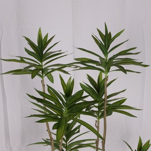 Planta Artificial Grande de Plástico PP de Color Verde, Fabricada en China, para Decoración de Jardín, Hogar, Oficina, Plantas Decorativas de PP para Exteriores - Product Image 4