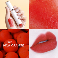 Rouge à lèvres lisse Vegan, personnalisé, longue durée, cosmétique, liquide mat, brillant, nouveau