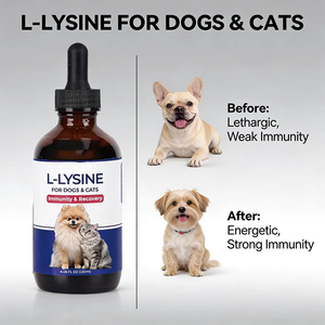 Suplemento Líquido de Lisina para Mascotas, Alivia los <span class=keywords><strong>Síntomas</strong></span> de Estornudo y Lágrimas, Refuerza el Sistema Inmunológico, OEM ODM, Absorción Rápida, Cuidado de la Salud Natural - Product Image 5