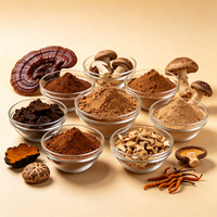Extrait d'Agaricus Blazei de qualité alimentaire, polyphénols, saveur naturelle de champignon noisette, poudre pour boisson solide