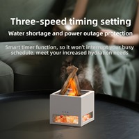 Nouvelle machine d'aromathérapie à flamme simulée en pierre de sel, humidificateur USB coloré pour la maison