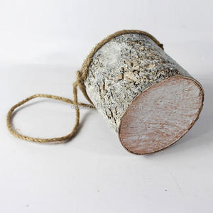 Proveedor al por mayor <span class=keywords><strong>de</strong></span> maceta colgante <span class=keywords><strong>de</strong></span> <span class=keywords><strong>cactus</strong></span> <span class=keywords><strong>y</strong></span> suculenta estilo granja para jardín <span class=keywords><strong>y</strong></span> uso interior - Product Image 3