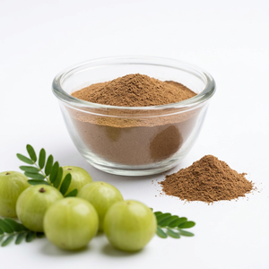 Fruta Amla en polvo a granel para la venta - Product Image 1