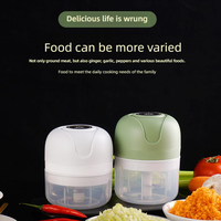 Multifunctionele Mini Elektrische Keuken Gereedschap Metalen Usb Mini Food Processor Voor Het Snijden Van Fruit En Groenten Inclusief Knoflook Ui