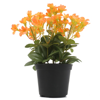 Mini bonsaï de fleurs élégant, vente chaude, salon, marguerite artificielle en pot, fabriqué en plastique durable, couleurs personnalisables, OEM/ODM