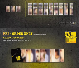 อัลบั้มพิเศษชุดที่ 1 ของ Stray Kids รุ่น CLE 2 YELLOW WOOD ฉบับมาตรฐาน พร้อมซีดีเพลงเคป๊อปของแท้ โฟโต้บุ๊คแบบปิดผนึก และโฟโต้การ์ดแบบ QR - Product Image 2