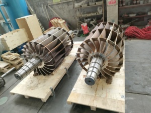 2BE Wholesale High Quality Horizontal Energy Saving Electric Driven <strong>Water</strong> Liquid Ring Vacuum <strong>Pump</strong> of Chlorine <strong>Gas</strong> Processing - Product Image 2