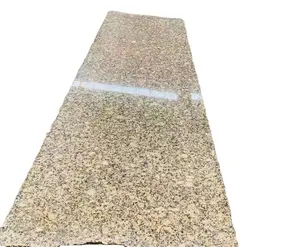 Hot sale golden beige granite for outdoor paving stone