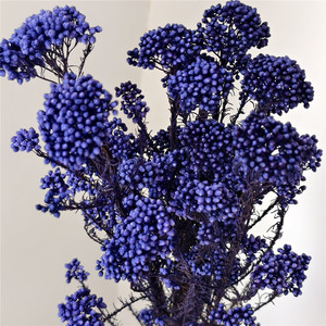 Nouveau Bouquet de Fleurs Séchées et Préservées Mini Fleur de Riz Effet Naturel Haute Qualité Tige Fraîche Décoration Éternelle pour la Maison - Product Image 6