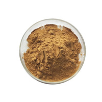 Poudre de Champignons Naturelle de Qualité Alimentaire 10% 50% Polysaccharides Agaricus Blazei Murrill Extrait Végétal Emballage Tambour