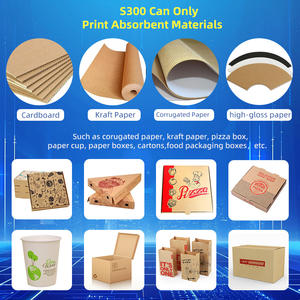 深圳工厂Yotta直接价格S300定制从297毫米到2500毫米大幅面单通纸盒打印机 - Product Image 3