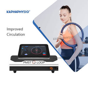 Nouvelle mise à niveau Interface Physio Magneto PEMF Thérapie pour la douleur PMST LOOP Pro Max Machine de thérapie magnétique Machine de thérapie par le cheval - Product Image 2