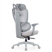Chaise de bureau ergonomique en maille avec support lombaire réglable 5 positions et accoudoirs 3D pour projets de bureau (vente en gros)