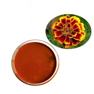 زيت الزاكسانثين المستخلص من زيركونيا استخراج المذيبات توريد المصنع الصيني <span class=keywords><strong>20%</strong></span> زيت إستر اللوتين - Product Image 3