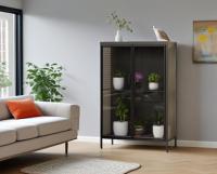 Armoire de rangement moderne à 2 portes en verre pour pots de fleurs 2 étagères réglables en acier inoxydable pour le salon de la maison