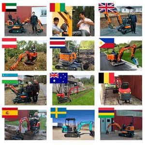 Envío Gratis SHANDING Mini Excavadora de Orugas de 3 Toneladas con Motor PLC y Alta Potencia de Excavación, Mini Excavadora para Pequeñas Granjas - Product Image 4