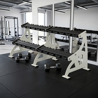 Support de rangement pour haltères en acier inoxydable pour l'entraînement de force et la musculation des triceps et des biceps