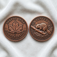 Pièce commémorative en métal OEM en gros, personnalisée, avec finition cuivre antique et relief 3D, motif nature et faune, pour l'approvisionnement en souvenirs