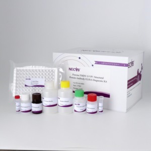 Porcine fmdv o-loại VP1 kháng thể Elisa Kit | 96t/192T | thú y Kit chẩn đoán cho lợn | ISO chứng nhận - Product Image 3