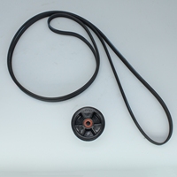 Courroie d'entraînement du tambour de sécheuse 7PH1930 0198300011 compatible avec la courroie d'entraînement du tambour de sécheuse Electrolux 7 PH 1930
