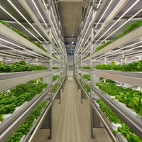 Système de culture hydroponique en grande serre avec contrôle climatique et travail automatisé pour la production d'herbe fourragère