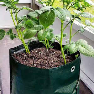 Pots de culture PE de <span class=keywords><strong>10</strong></span> gallons Sac de culture vert pour pommes de terre de jardin Légumes Carotte Oignon Tomate Planteur Sac - Product Image 6