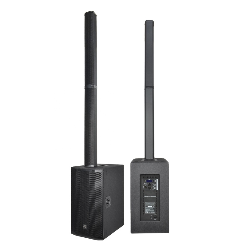 RQ LA210 Dual 10 Inch Professional