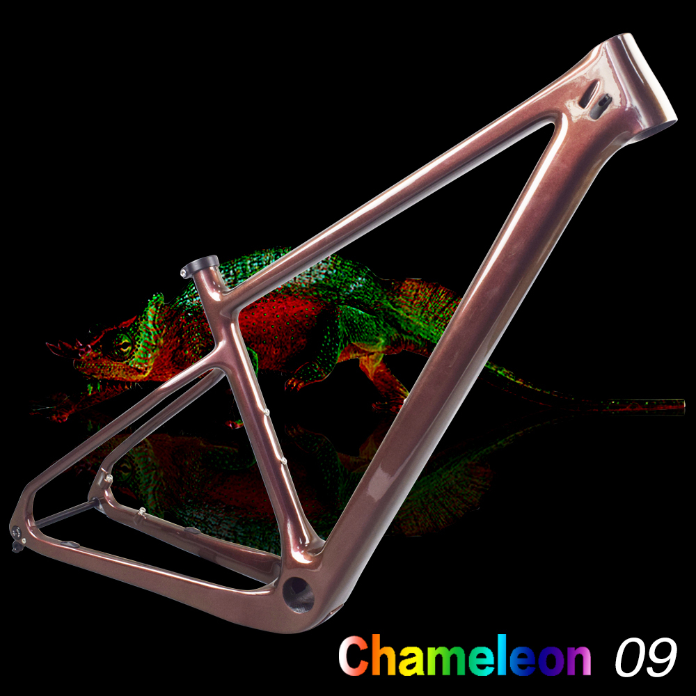 Camaleón 6