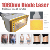 Appareil de beauté pour le corps à laser diode 1060 nm, refroidissement, blanchiment de la peau, thérapie pour la perte de poids, élimination de la graisse, réparation