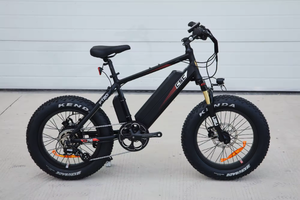 Bicicleta de montaña con cuadro de 17 pulgadas, bicicleta de largo alcance de 48V, bicicleta de montaña de 750W y 16ah, bicicleta de montaña Bafang Kenda para adultos, oferta especial - Product Image 5