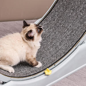 Grande Roue Tapis Roulant Silencieuse pour <span class=keywords><strong>Chat</strong></span>, Jouet d'Exercice en Plastique pour Chats d'Intérieur, Combo Interactif Fitness et Griffoir - Product Image 4