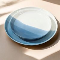 Assiette à dîner en céramique au design ombré moderne, décoration de mariage personnalisée, article cadeau, articles ménagers écologiques