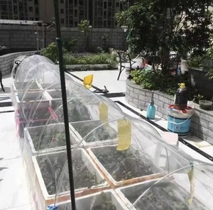Filet de protection des plantes transfrontalier Chine pour légumes, arbres fruitiers, filet anti-insectes <span class=keywords><strong>agricole</strong></span> en gaze 80 mailles, serre <span class=keywords><strong>3m</strong></span> - Product Image 2