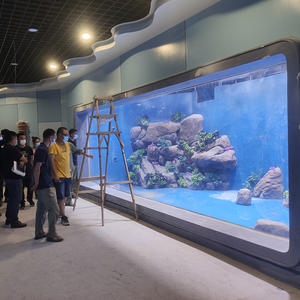 Pecera Acrílica Rectangular de Diseño Moderno de 80 mm y 100 mm, Lista para Enviar, para Peces Tropicales, Uso en Exteriores - Product Image 5