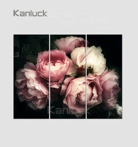 Quadro <span class=keywords><strong>Moderno</strong></span> <span class=keywords><strong>Classico</strong></span> a 3 Pannelli con Fiori ad Acquerello, Cornice Inclusa, Colori Vivaci, Resistente all'Acqua e allo Sbiadimento - Product Image 1