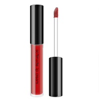 Maquillage pour les lèvres vegan personnalisé, gloss à lèvres hydratant et repulpant, fini mat, longue tenue, non collant, imperméable, gloss à lèvres liquide
