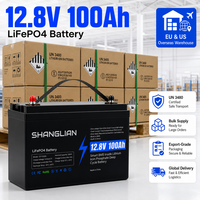 Batterie LiFePO4 12V 100Ah pour stockage d'énergie domestique, panneau solaire, cycle profond 1280Wh, BMS intelligent, phosphate de fer lithium pour systèmes hors réseau