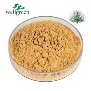 Wellgreen Featured Plants Feed Additive Low Price Schidigera Powder Yucca Extract