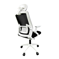 Chaise de Direction Ergonomique Orthopédique à Double Maille Certifiée BIFMA avec Support Lombaire, Service OEM/ODM pour Poste de Travail