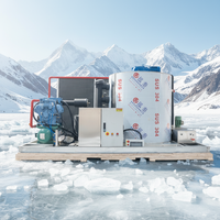 Máquina de Hielo en Escamas Haiyue de 5 Toneladas con Certificado CE, Máquina Industrial de Hielo en Escamas para Pescado y Bebidas, Máquina Comercial de Hielo en Escamas