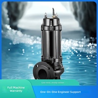 Pompe submersible à eaux usées en fonte WQ Kurui River Water Irrigation, durable, pour usage agricole