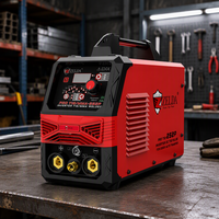 Postes à souder TIG portables à impulsions DC avec onduleur monophasé 110V 220V – Nouveaux soudeurs TIG à arc pulsé