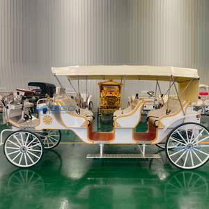 Carruaje de Turismo Victoriano de 3 Filas, Estilo Cenicienta, con Caballos, para Turismo, Blanco, Elegante, Eléctrico - Product Image 5