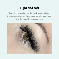 Extensions de cils en cheveux synthétiques faites à la main, colorées, Easy Fans, Fanning Lash Bloming, Turquoise, 0.07mm, plateaux assortis, vente en gros