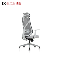 Produits de Foshan maille chaises dos os soutien chaise de bureau en plastique tapis de sol chaise de bureau