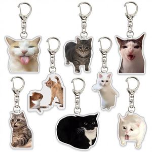 Porte-clés personnalisé avec portrait d'animal de compagnie, photo en acrylique, breloque chat chien, cadeau commémoratif personnalisé, porte-clés pour amoureux des animaux, pendentif de sac - Product Image 2