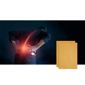 OEM ODM 맞춤형 홍삼 뿌리 바디 패치 홍삼 스트레스 릴리프 패치 스포츠 패드 - Product Image 6