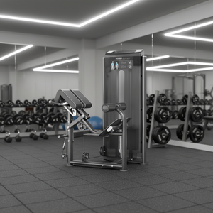 เครื่องบริหารหลังแบบไฮเปอร์เอ็กซ์เทนชั่น SK Commercial โครง<span class=keywords><strong>ส</strong></span>ร้างเหล็กปรับได้ อุปกรณ์ฝึกกล้ามเนื้อหลังระดับมืออาชีพ <span class=keywords><strong>ส</strong></span>ำหรับยิมและคลับ - Product Image 3